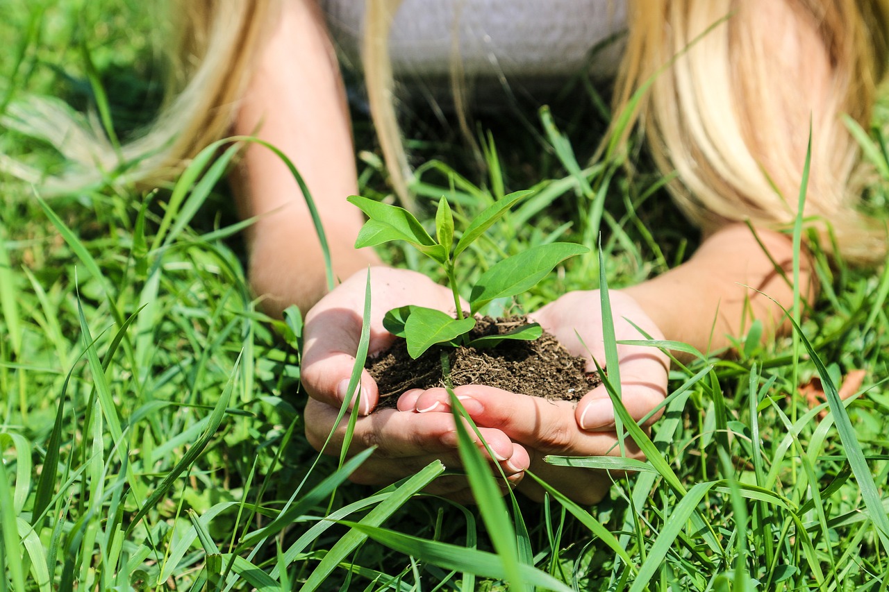 Bambini come piccole piantine da curare e crescere